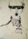 Image of First, Draw The Backbone
