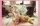 Image of I’LL BE YOUR MIRROR