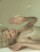 Image of Nick Knight