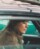 Image of 'Queen of the Road'