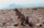 Image of Land Art: Scarring And Healing