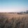 Image of 8 Untitled Works, Marfa Texas