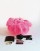 Image of THE PINK FEATHER HAT