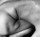 Image of CONTOURS