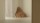 Cover of Article "‘Untitled’ (Fortune Cookie Corner) by Felix Gonzalez-Torres, 1990"